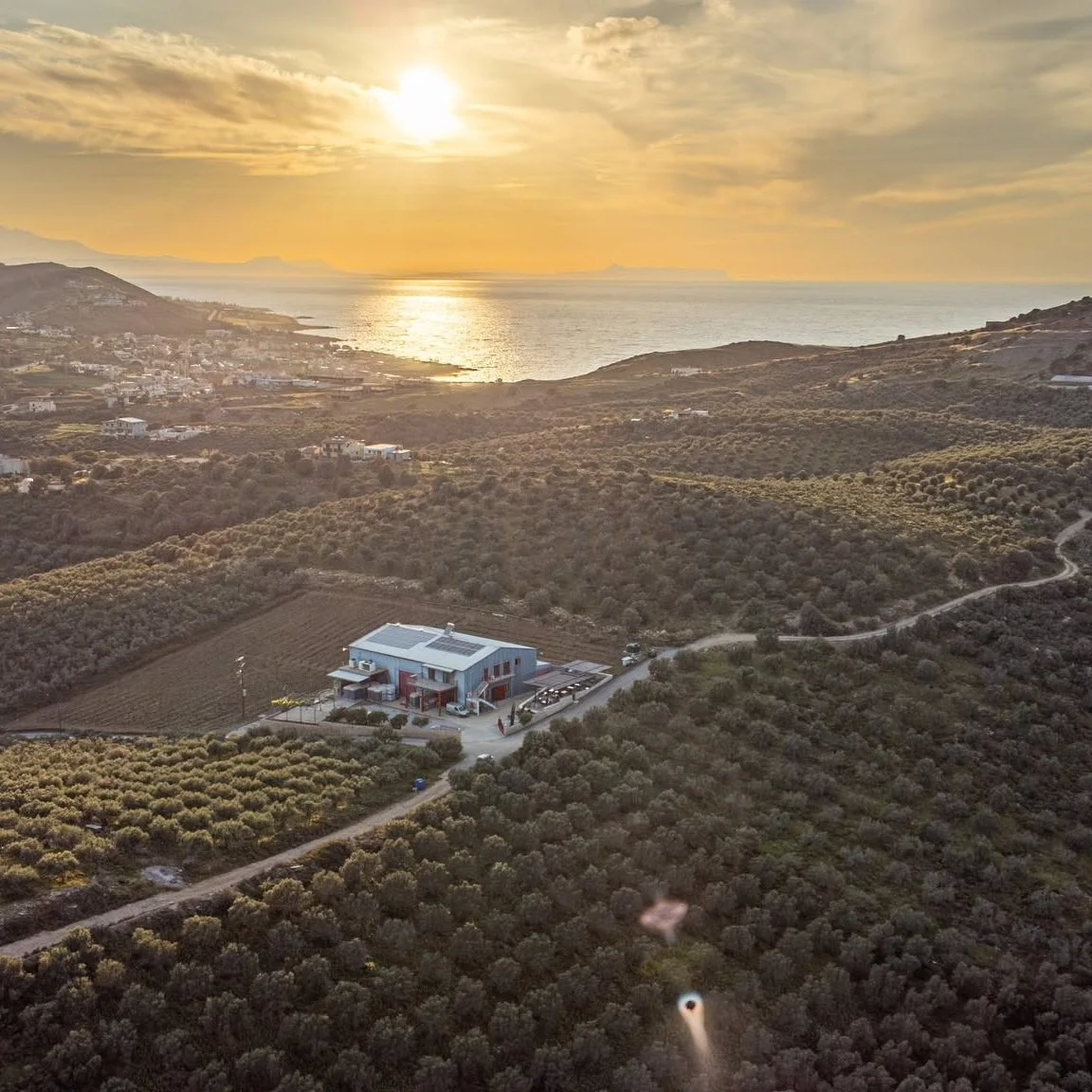 Greece_Crete_Klados_vineryards_arial.jpg