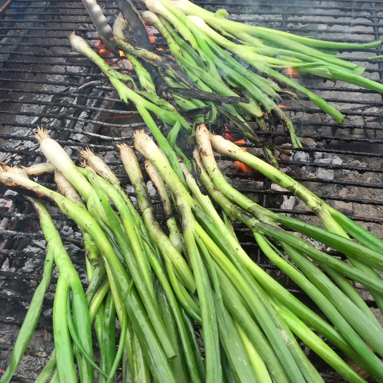 Greg Vouros_Grilled Scallions.JPG