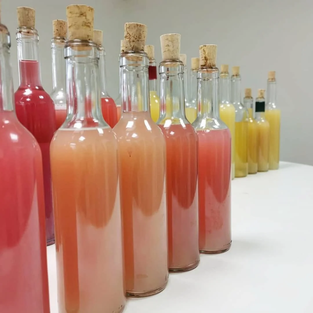 France_Provence_Triennes_winery tasting during fermentation.jpg