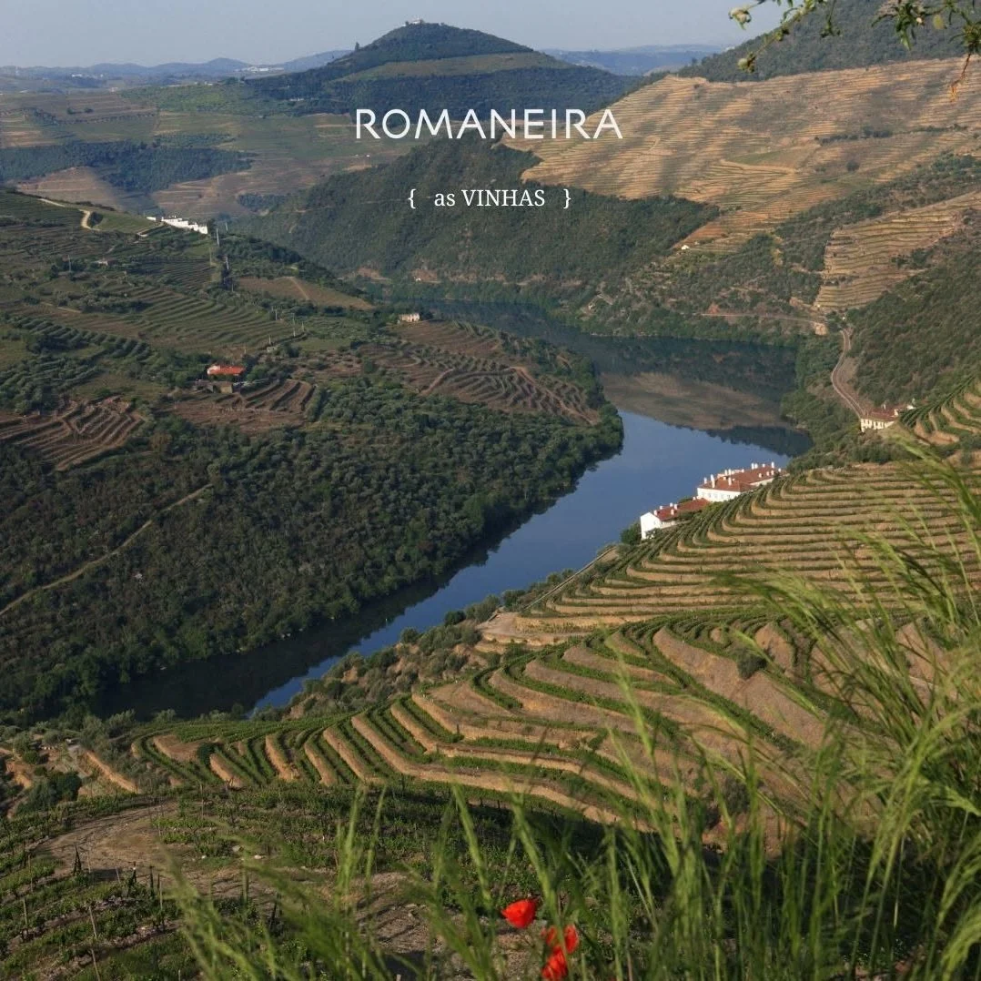 Portugal_Douro_Romaneira_vineyards_v3.jpg