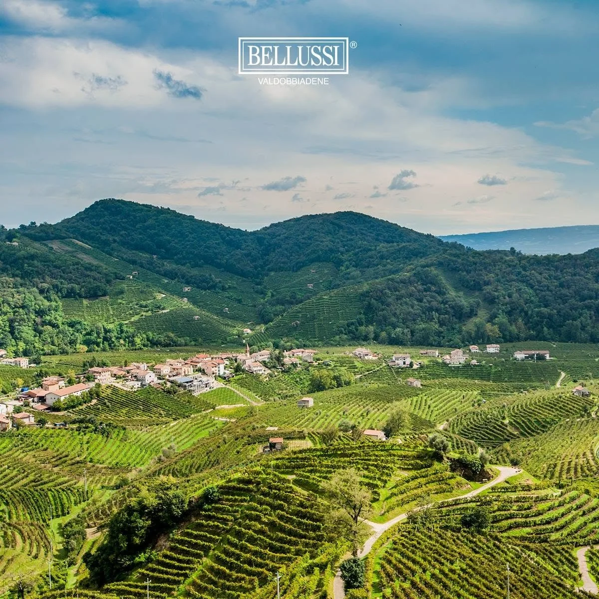Italy_Veneto_Bellussi_Valdobbiadene vineyards_v3.jpg