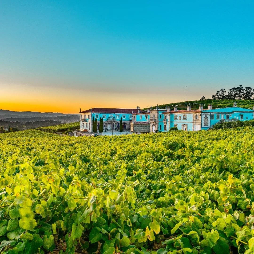 Spain_FB_D.O. Rias Baixas_v2.jpg