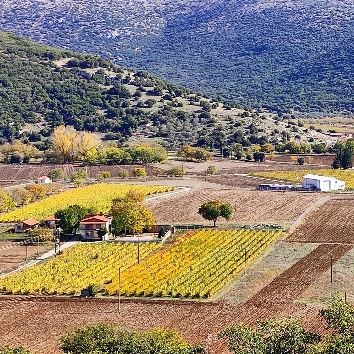 Greece_Tripolis_Panagopoulos_pano_square.jpg