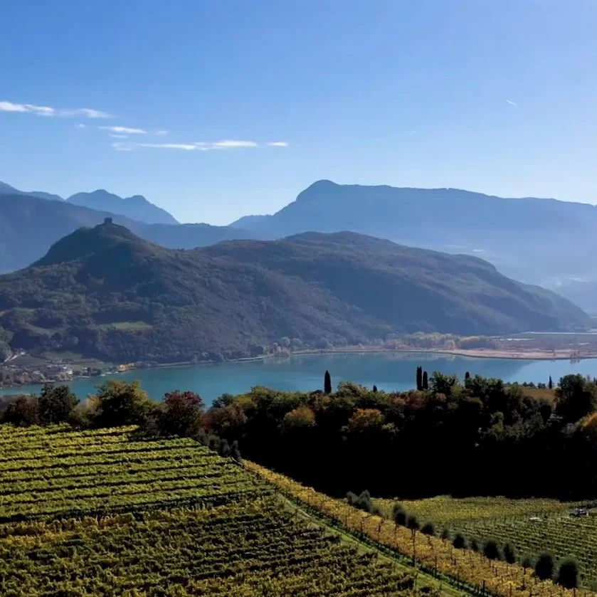 Italy_Alto Adige - Sudtirol_Laimburg_vineyards.jpg