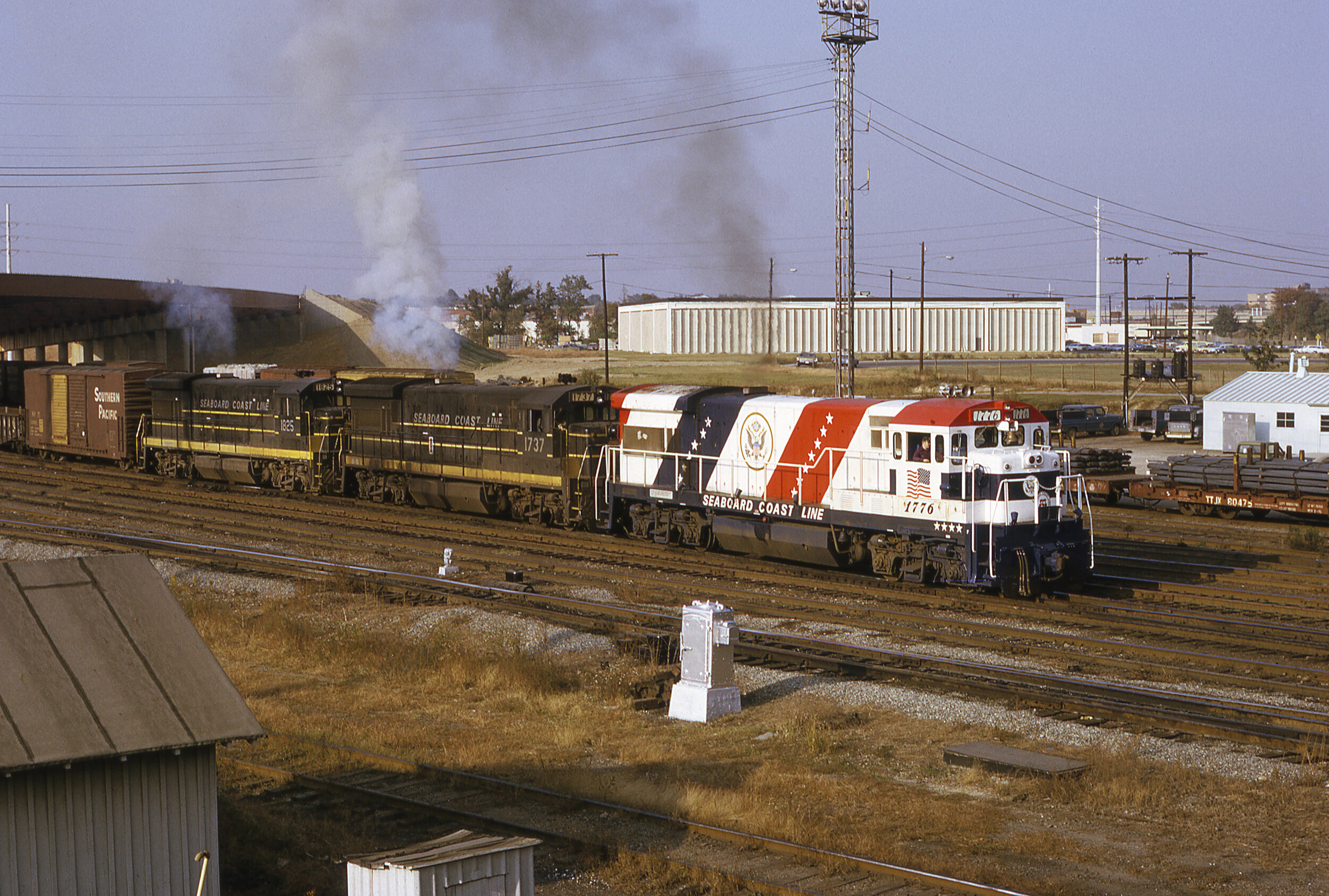 SCL 1776 w Tr 109 - Acca Yard Va - Stanley Short photo crop SMALL.jpg