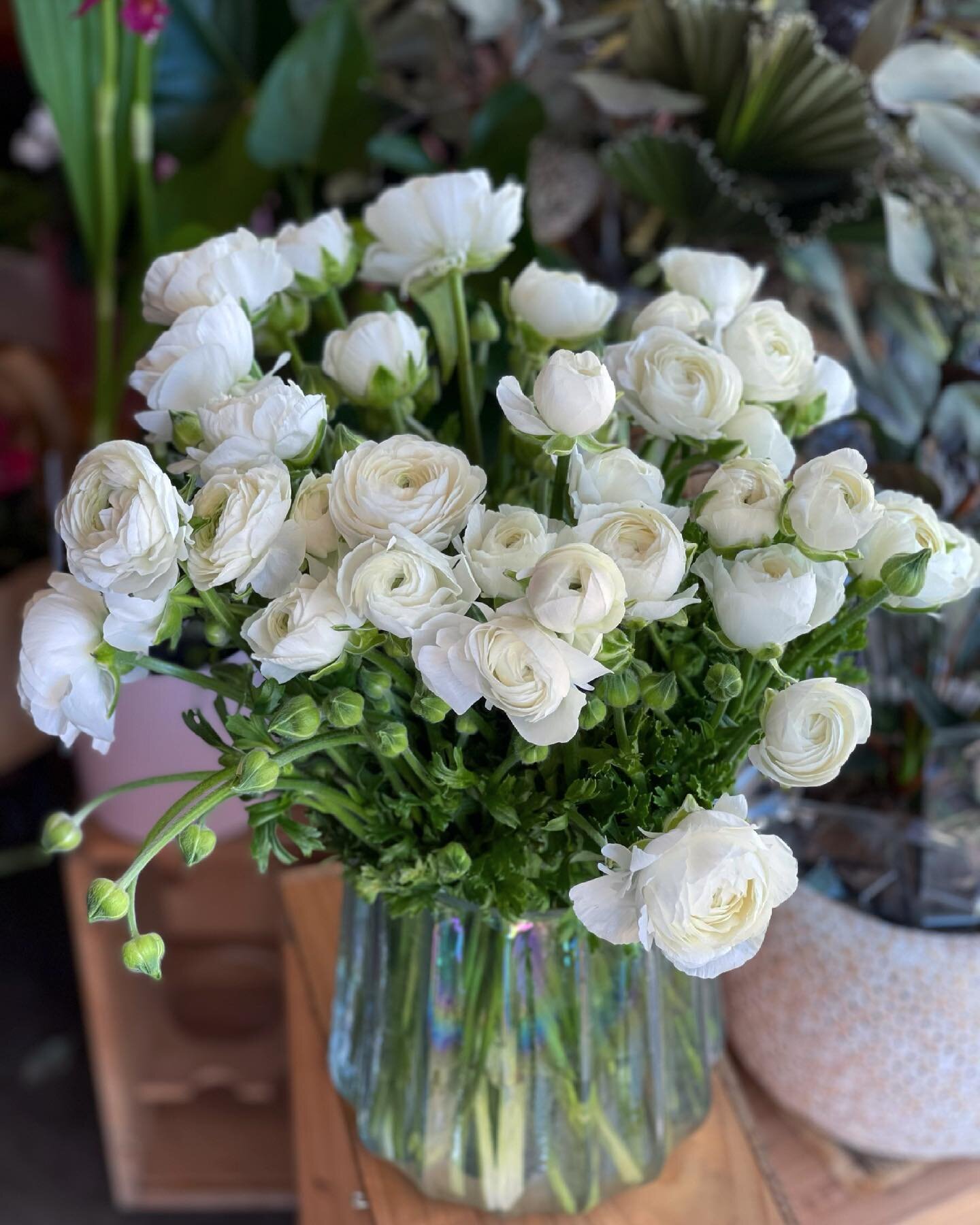 Friday is looking fab with these beautiful ranunculus freshly picked from the farm this morning! We are so lucky to have such amazing local growers &amp; wouldn&rsquo;t have the business we have without them 🤍