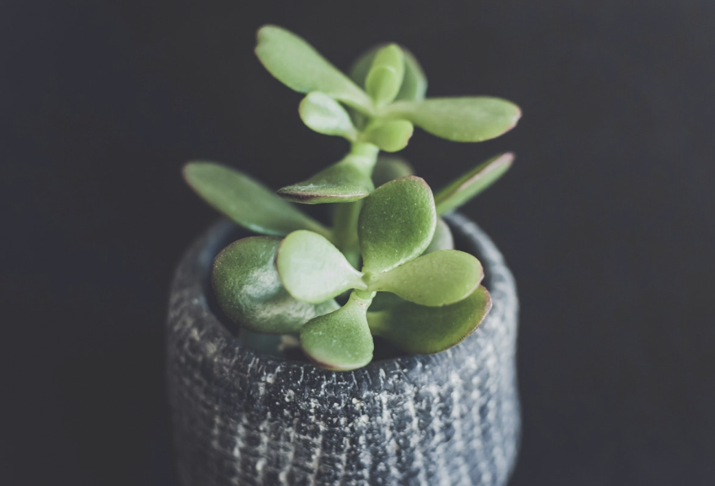 Think You’re Ready To Grow? Ask Yourself These 4 Questions First.