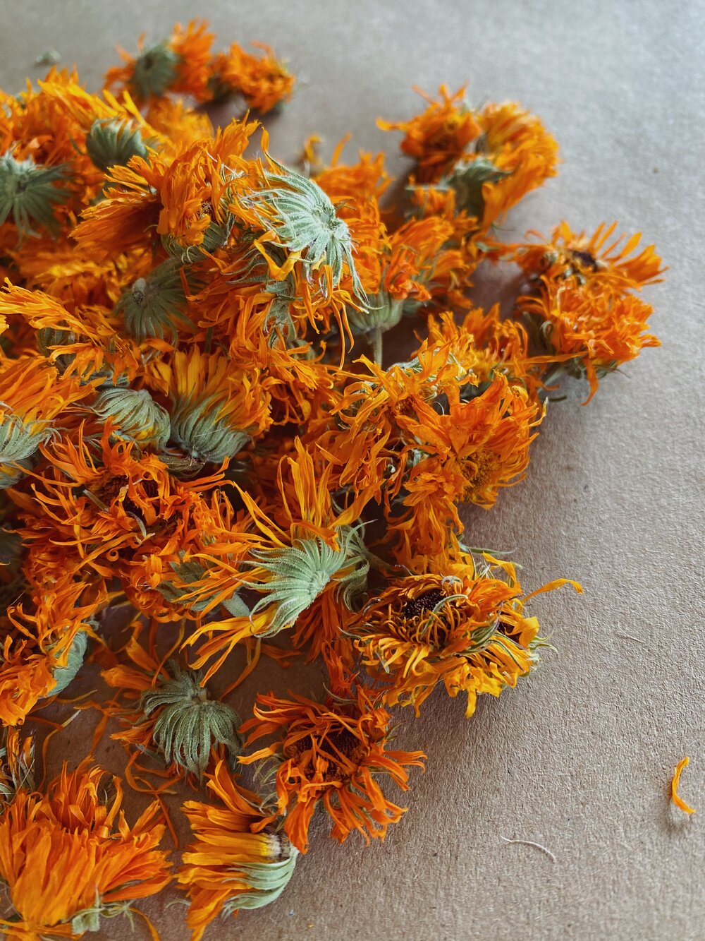 CALENDULA FLOWERS — Flower Power ❀ Herbs & Roots ❀ EAST VILLAGE NYC ❀ Open  12 - 7pm Daily