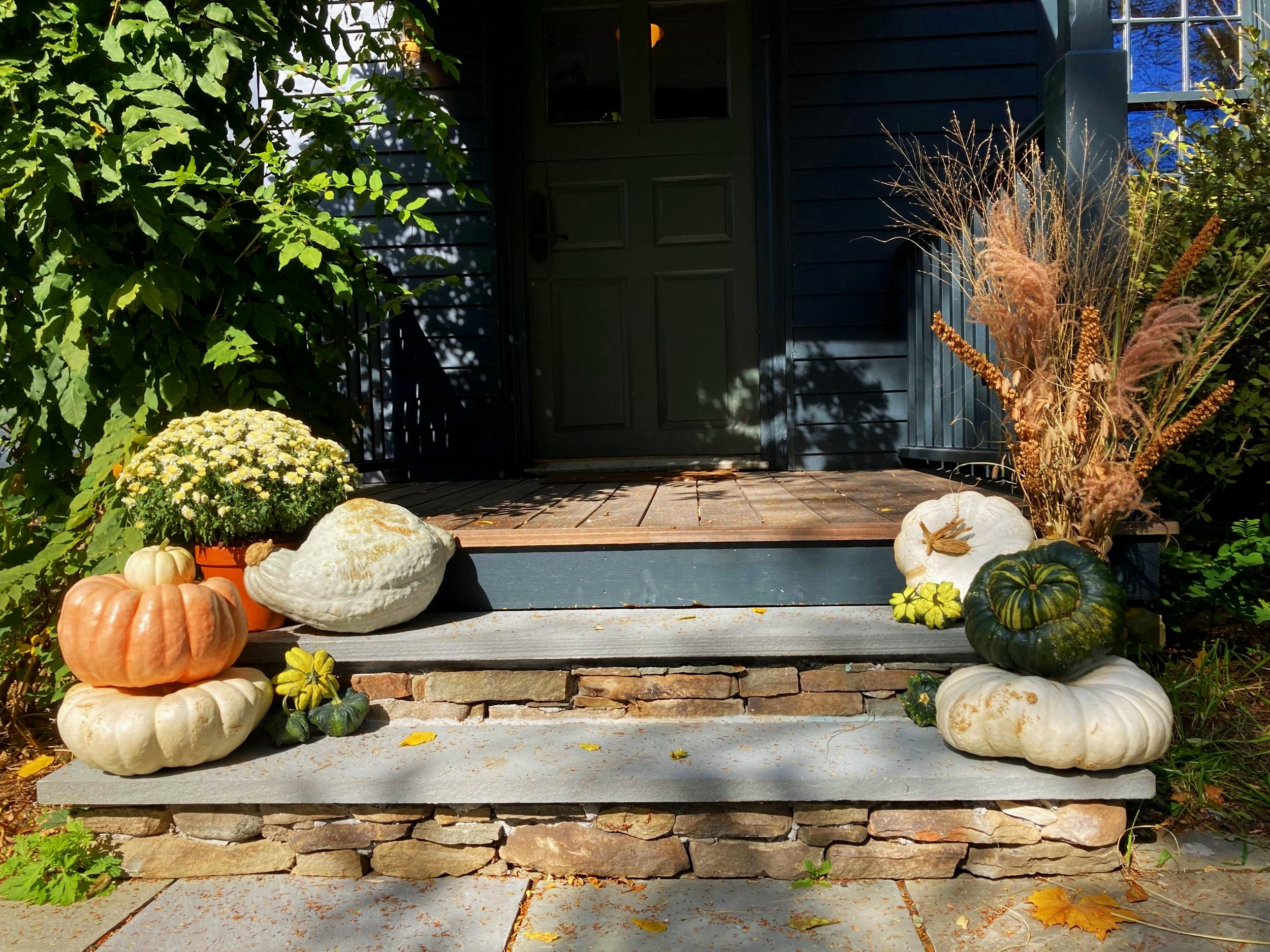 pumpkin+display+on+steps.jpg