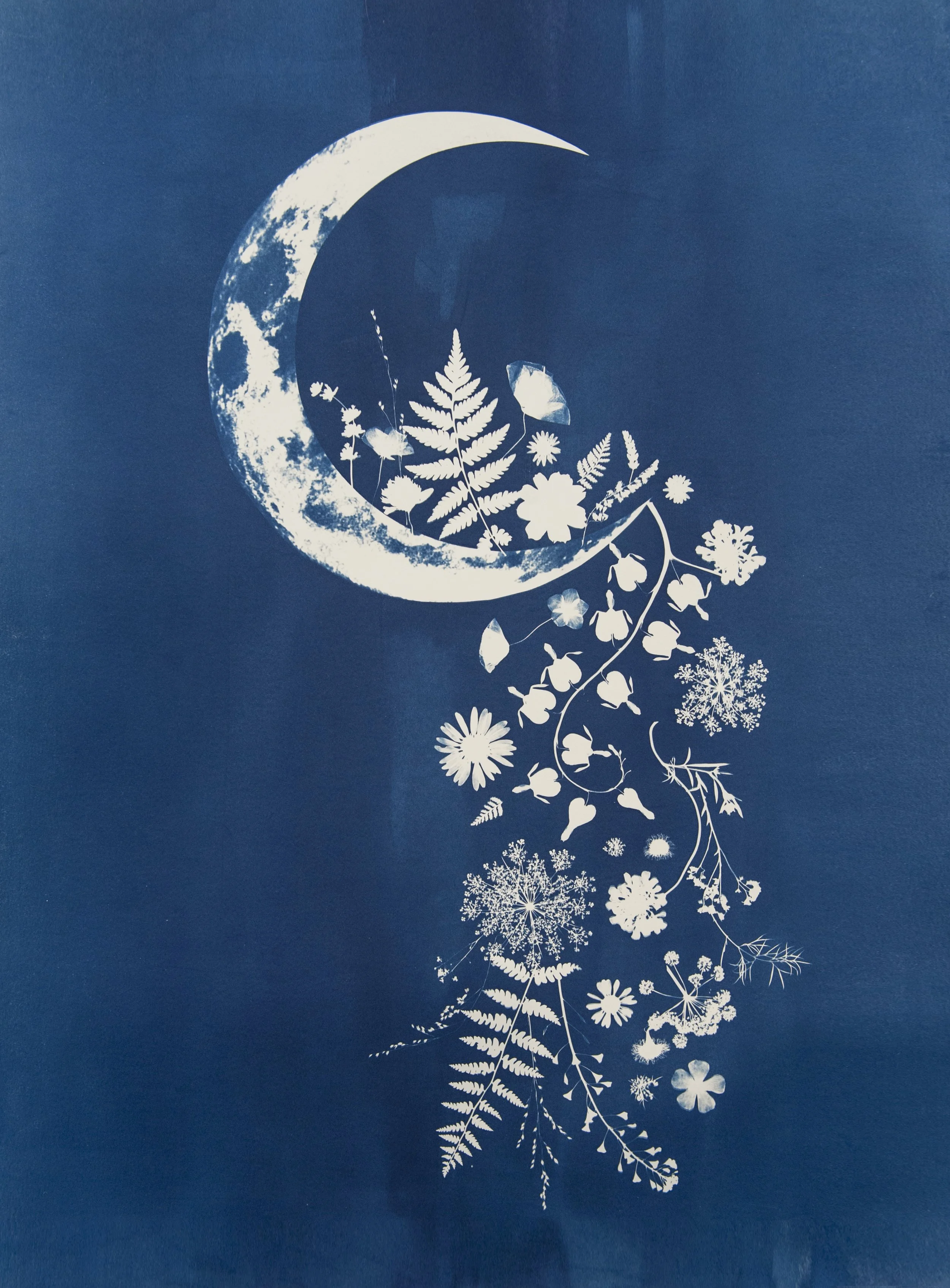 Crescent flowers.jpg