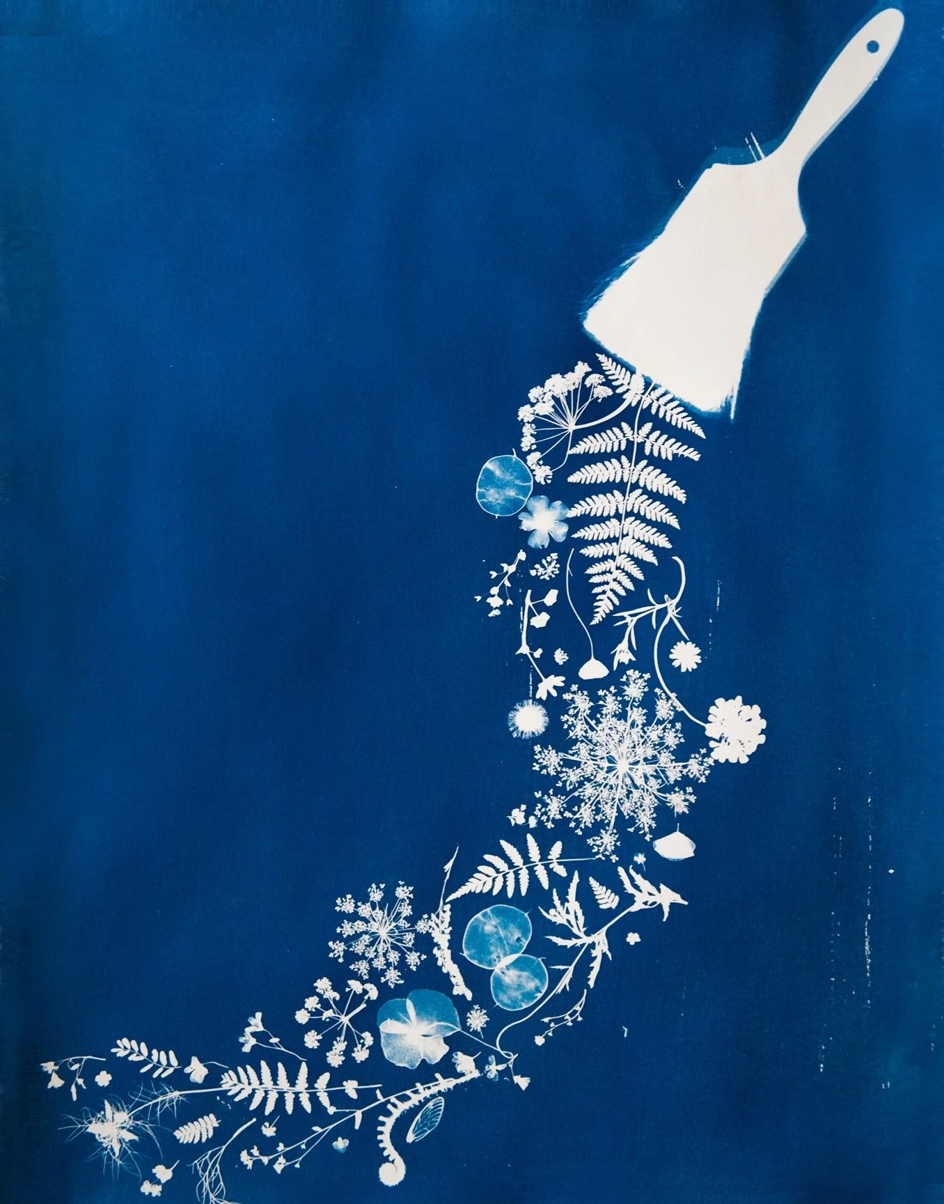 Paintbrush 11x14.JPG