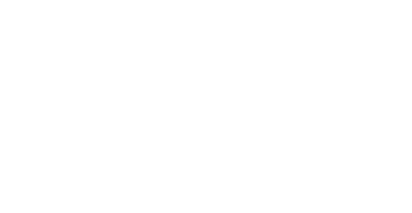NewPlymouthAirport_Logo_white-trans.png
