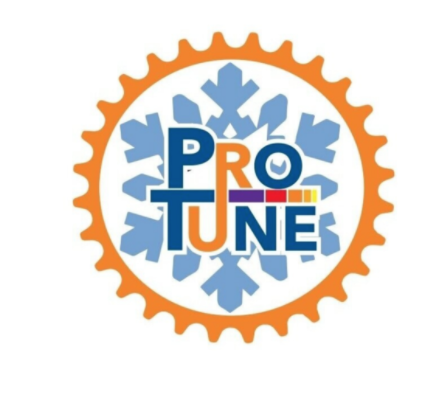 Pro Tune Logo.webp