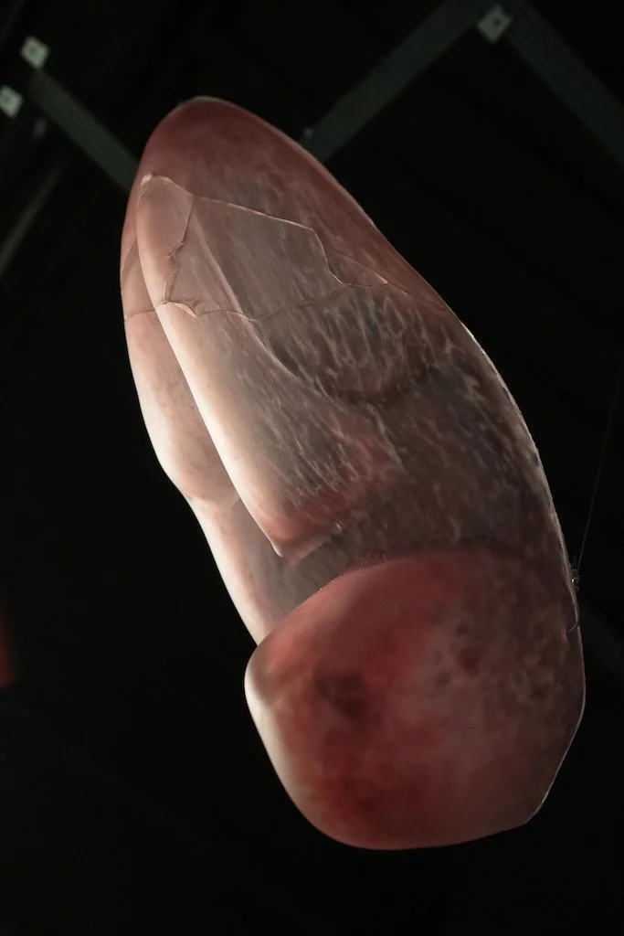 'How Raven Attained It's Iridescence: Northern Lights' (Series) [Glass #2]