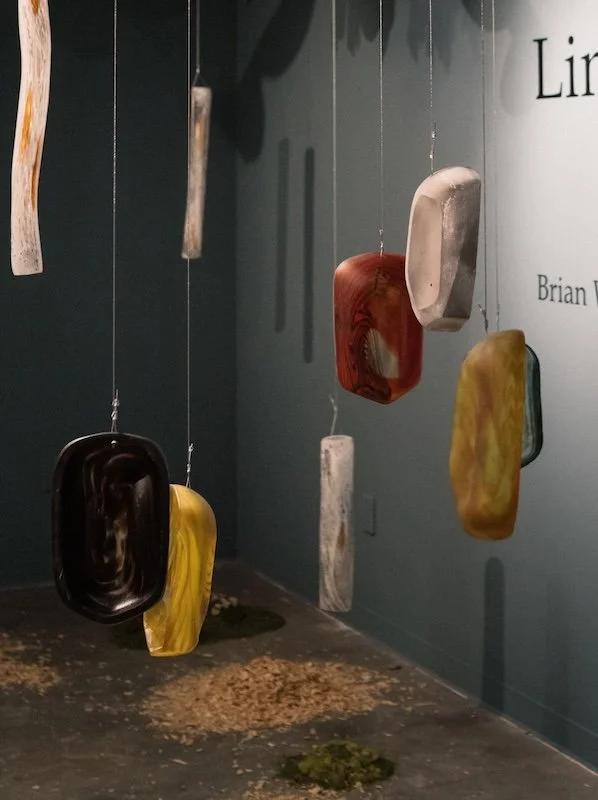 Overview of Daisy's Owls