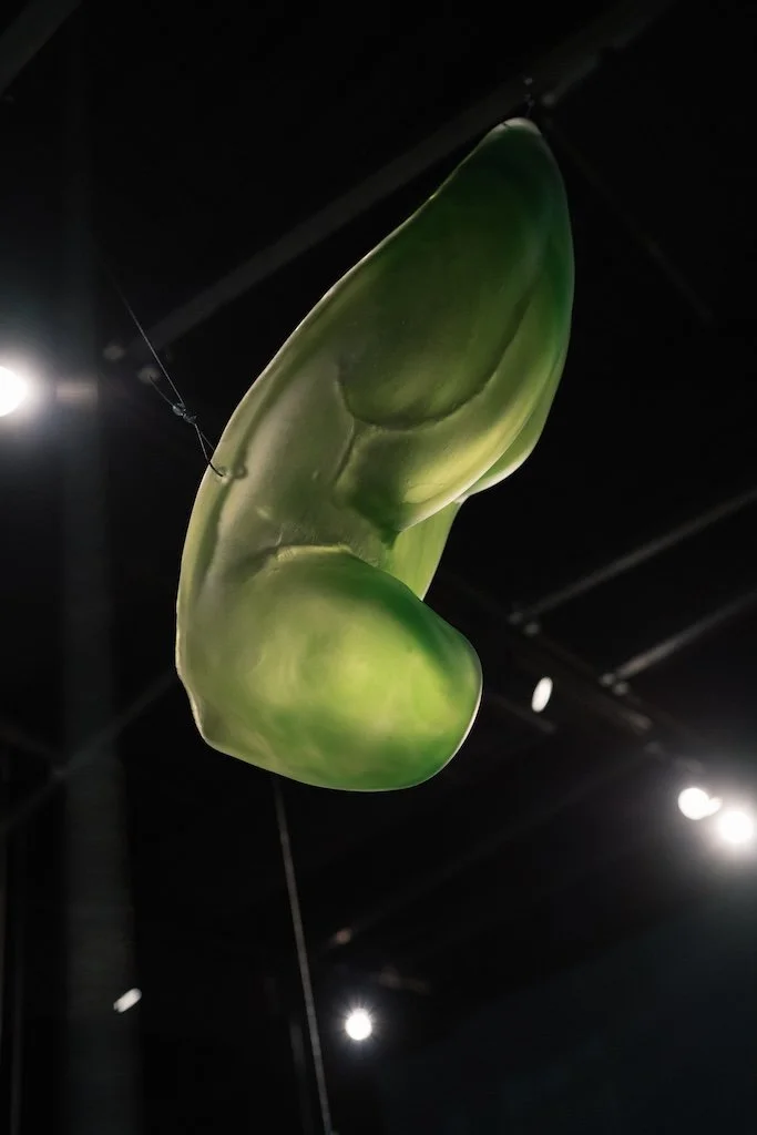 Detail of 'How Raven Attained It's Iridescence: Northern Lights' (Series) [Glass #1]