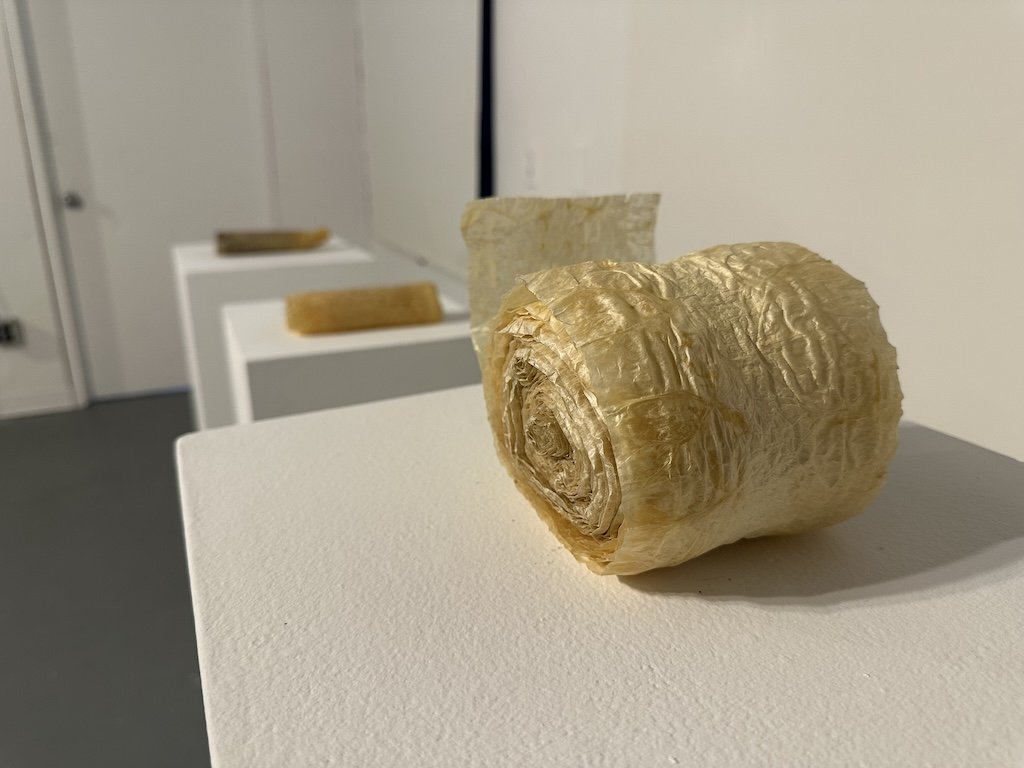 Overview of 'Posssessions/Dispossession' Series