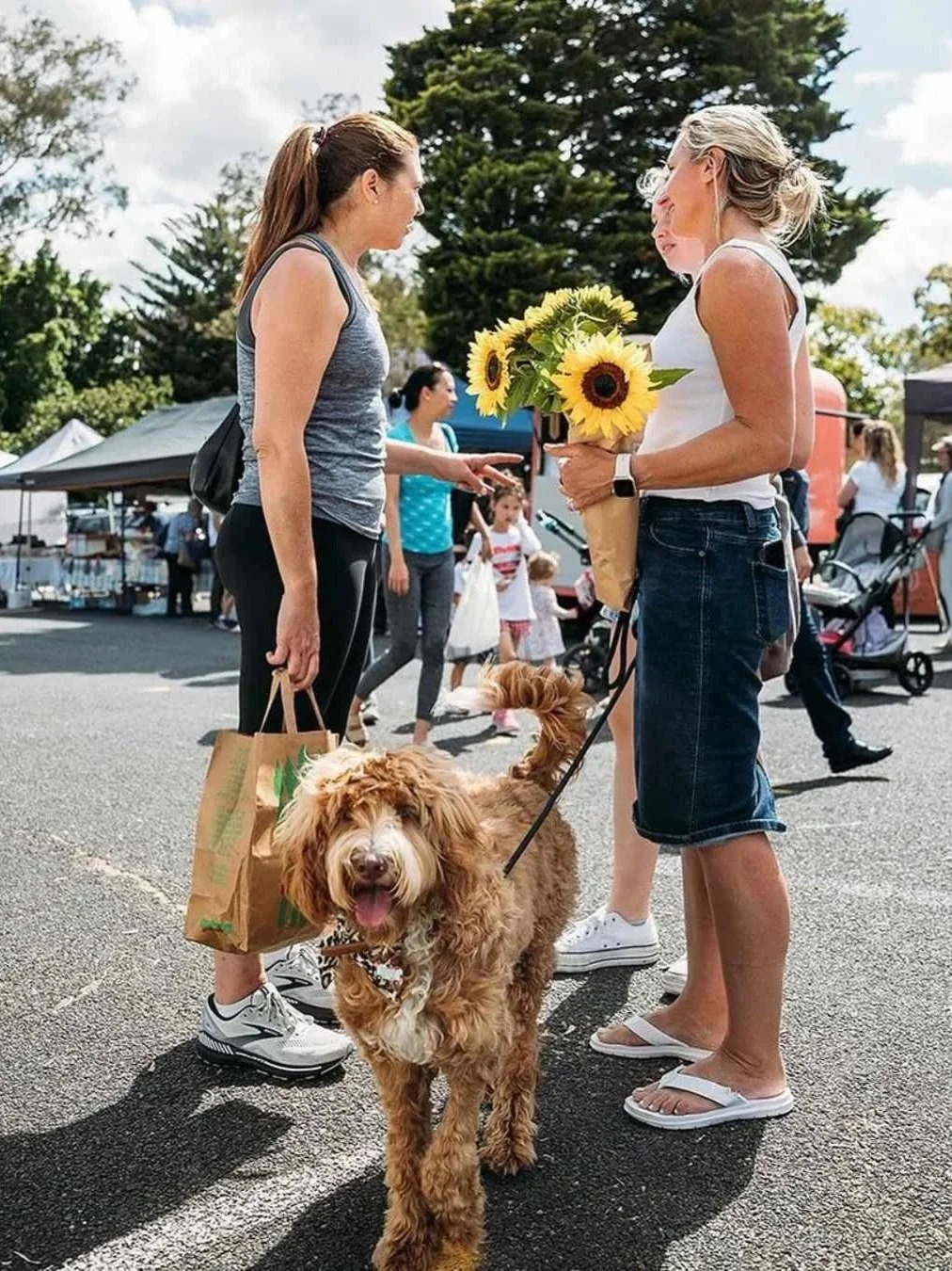 Shire-Farmers-Market