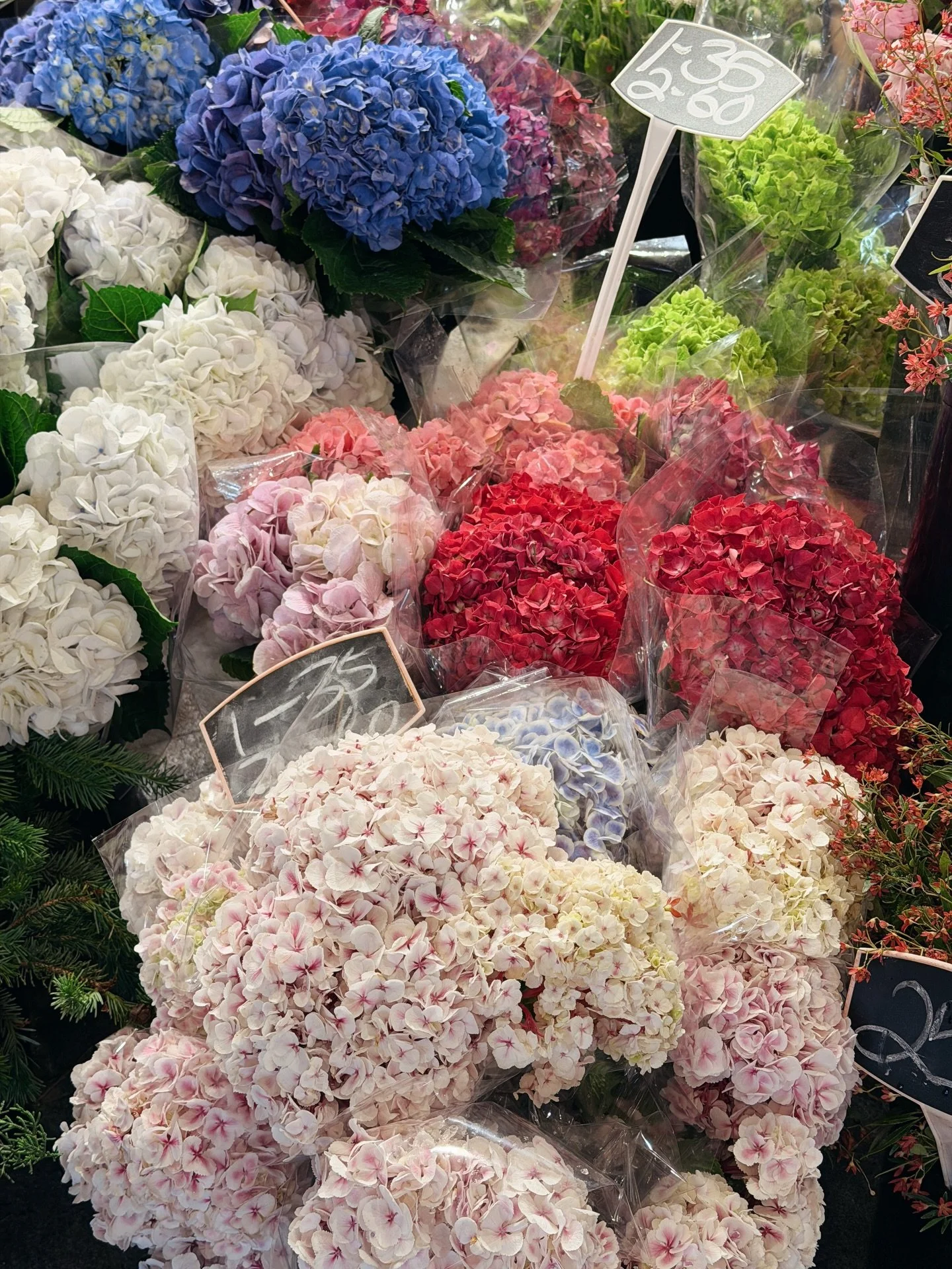 If Christmas gifting is still on the to-do list, consider this your official nudge.🎄💐

From festive blooms to beautifully styled arrangements (plus all the little extras you didn&rsquo;t know you needed), @vhouseflorist is one of those spots that m