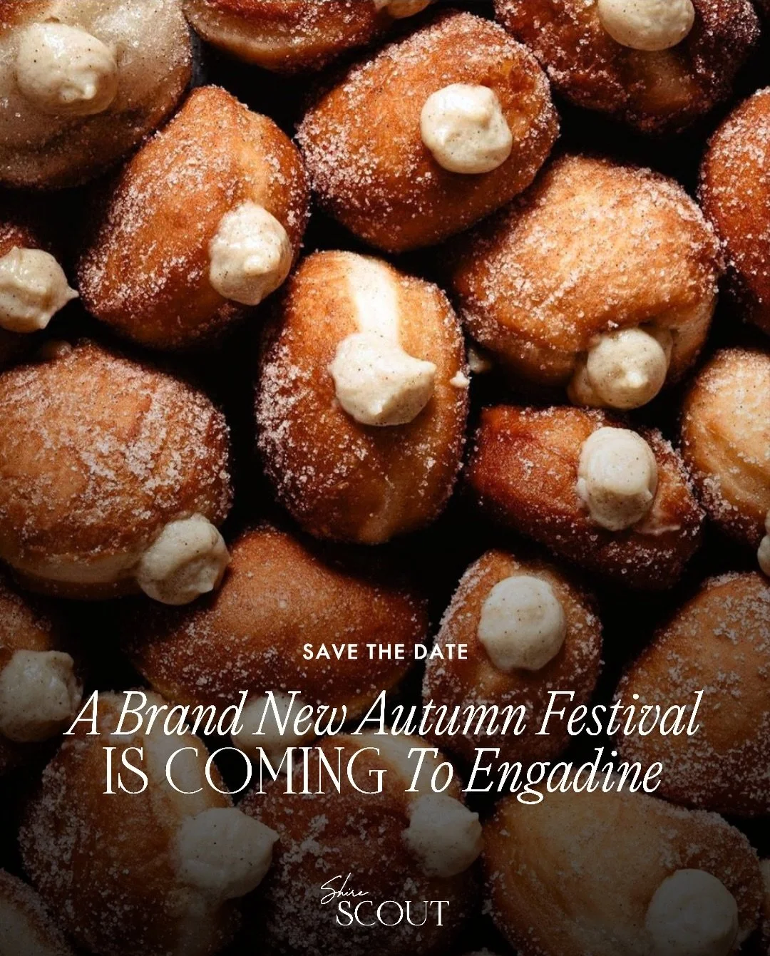 Mark your calendars!👀The brand new Engadine Autumn Festival by @cambridgemarketssydney is taking over Cooper Street Reserve for TWO massive days this May. 🤝🏻

SCOUT SCOOP: @cambridgemarketssydney and @rhyschristofarealestate have teamed up to GIVE