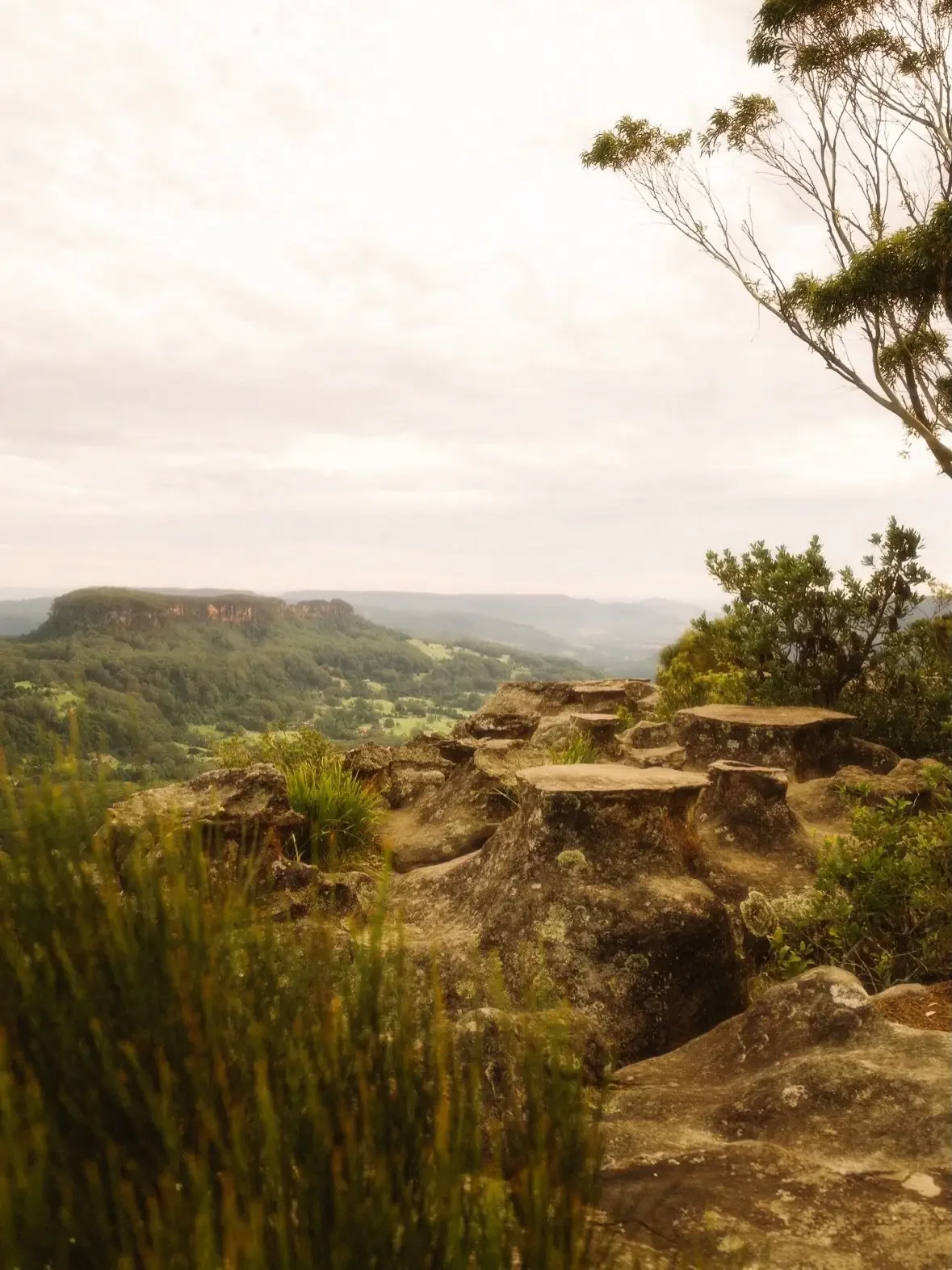Drawing Room Rocks Bushwalk and Lookout.webp