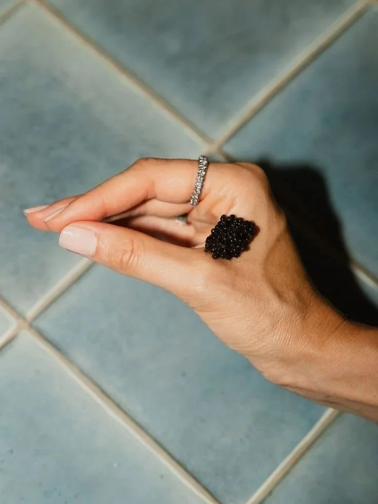 Freds providore cronulla