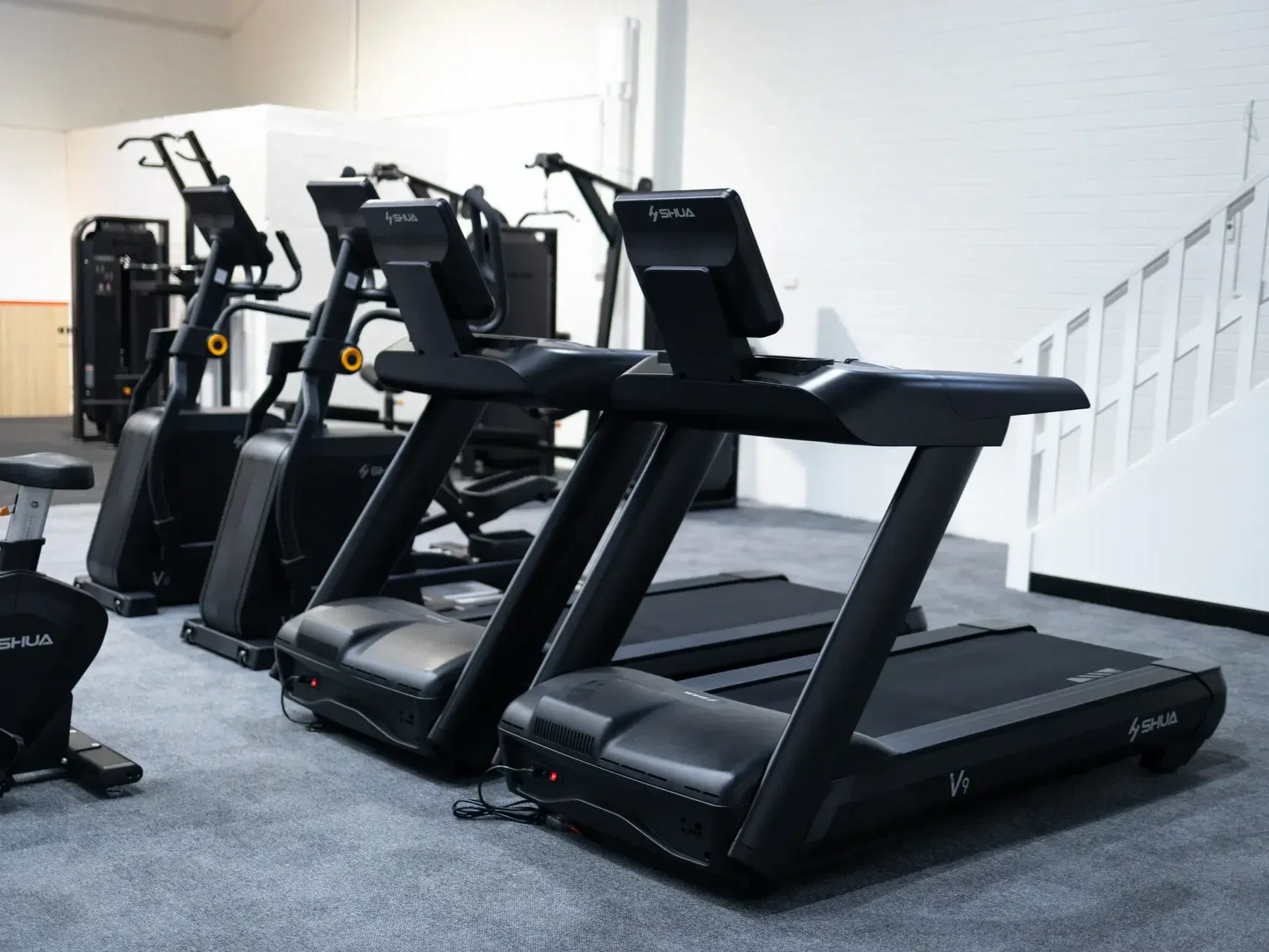 Vision-PT-Caringbah