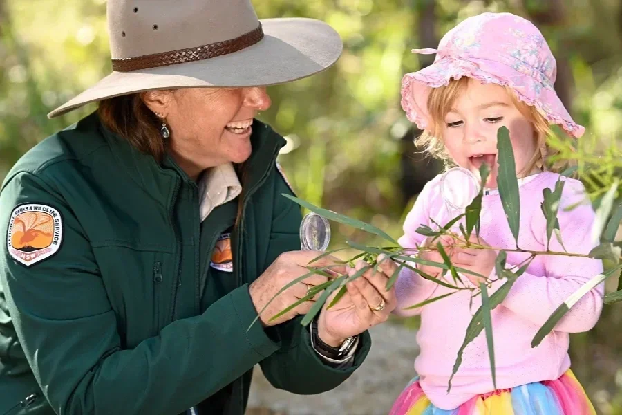 Children taking part in a ranger-guided activity in a NSW national park.