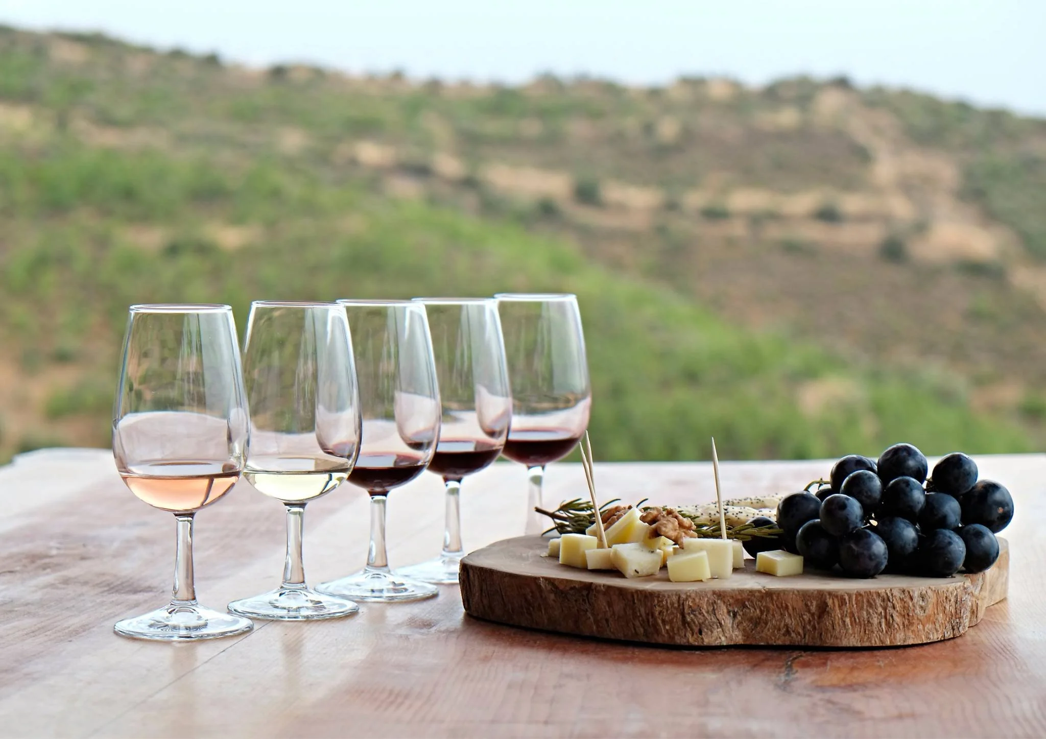 Meet The Wine Traveller — Your Passport to Better Wine