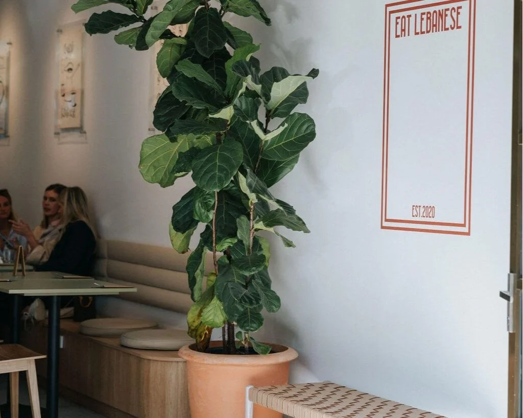 The Sutherland Shire's Best Restaurants for Date Night — SHIRE SCOUT