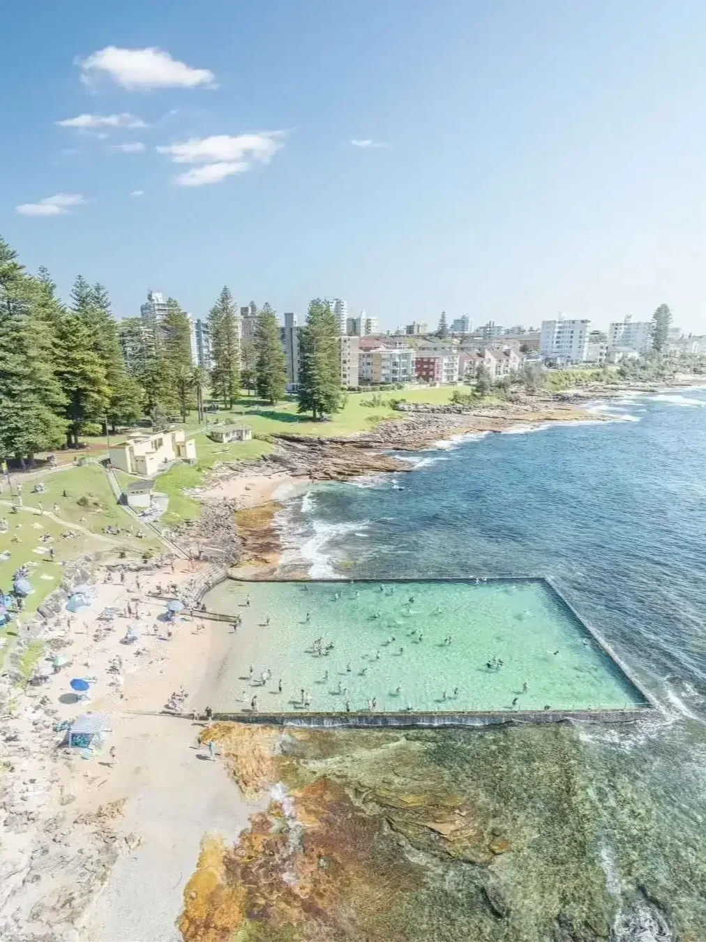 Shelly Park Cronulla