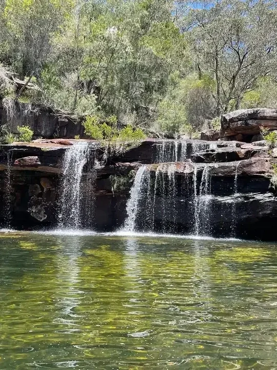 Deer Pool in the Royal National Park, Sydney, featuring cascading waterfalls flowing over layered sandstone rocks into a clear, green natural swimming hole, surrounded by lush native bushland and eucalyptus trees.