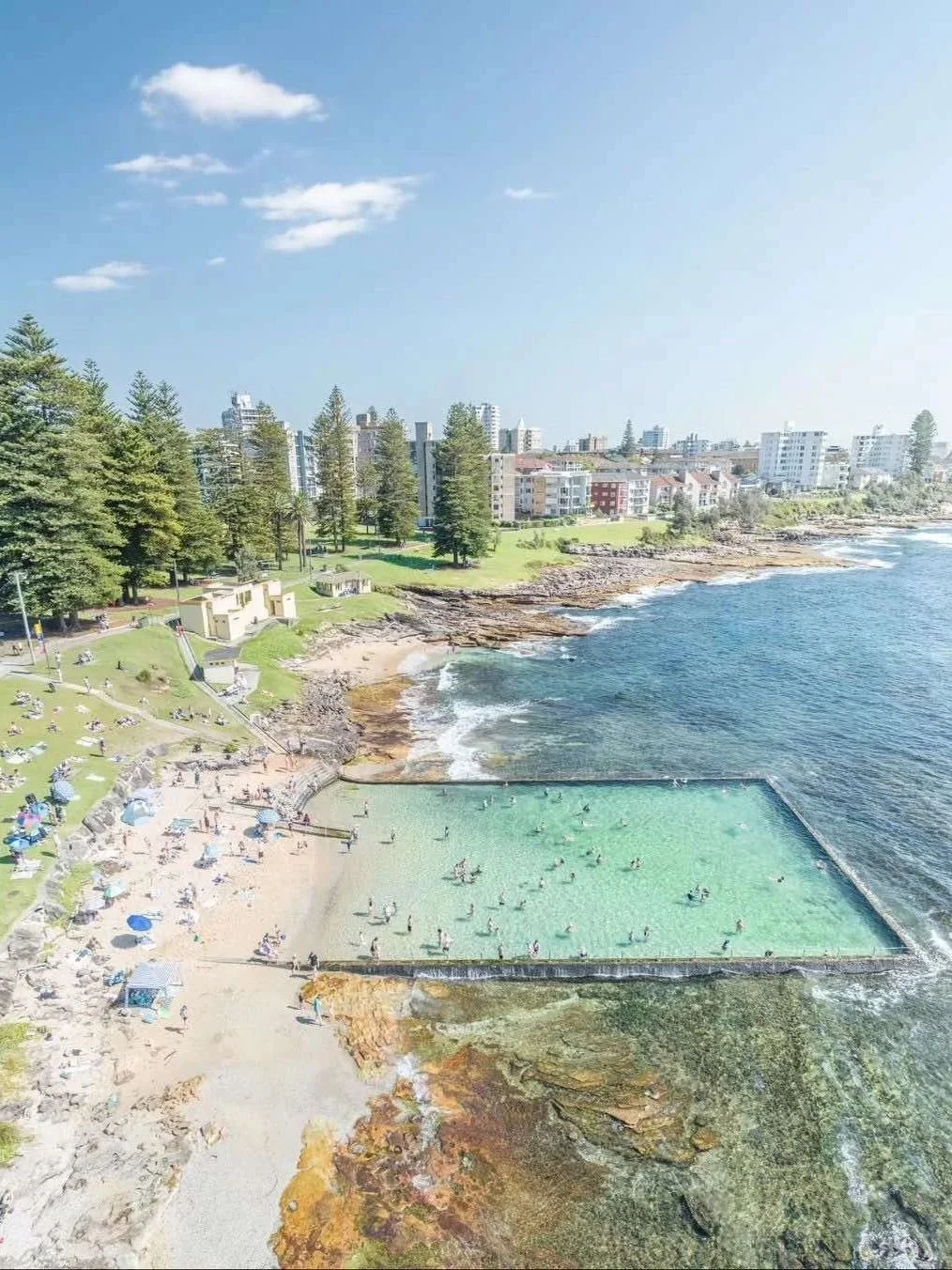 Aerial view of Shelly Beach in Cronulla, featuring a turquoise ocean pool filled with swimmers, a sandy beach and a grassy coastal park lined with trees.