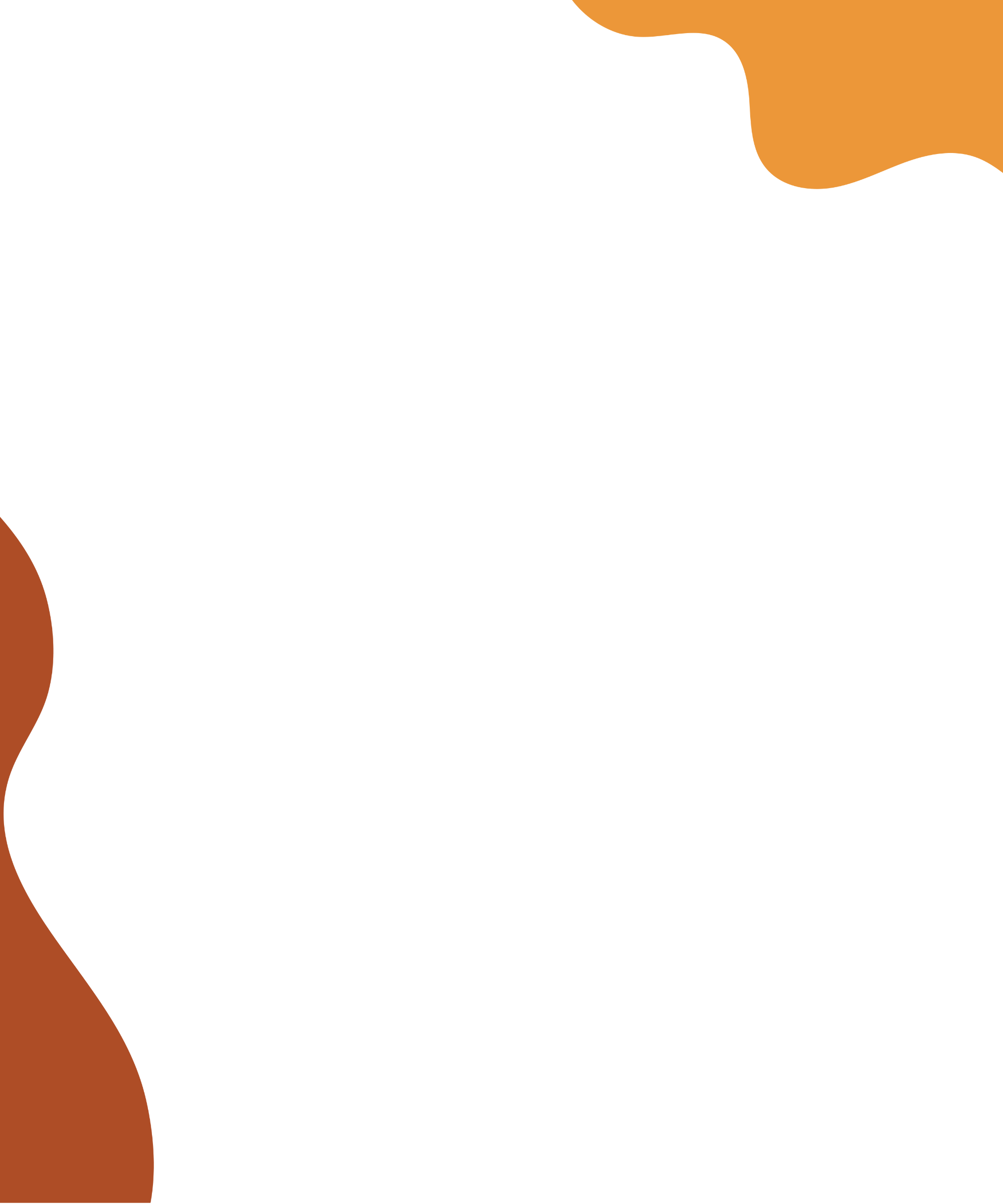 Bold Babe_ PORTFOLIO.png