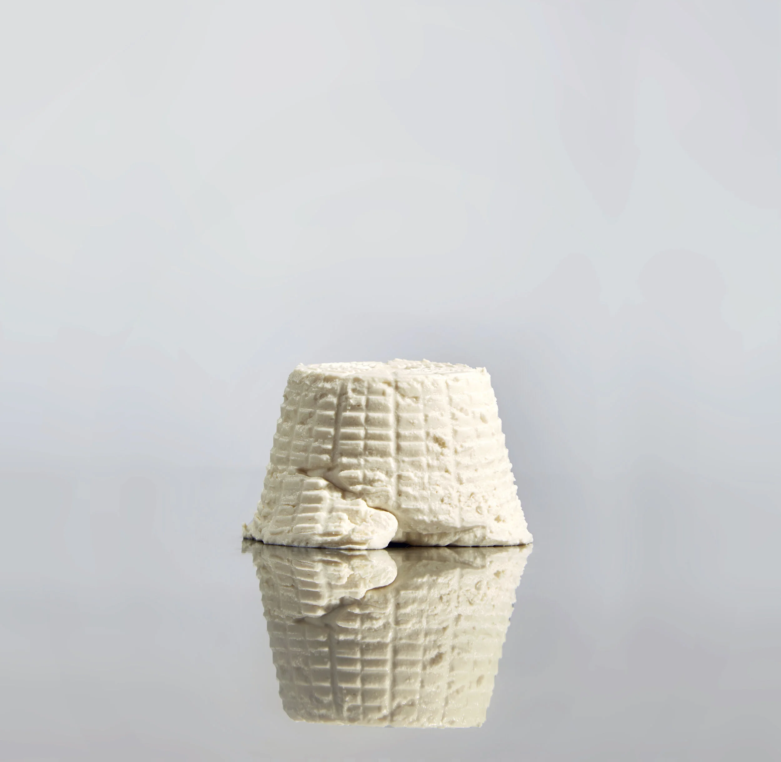 Copy of 07-Ricotta-13013.jpg