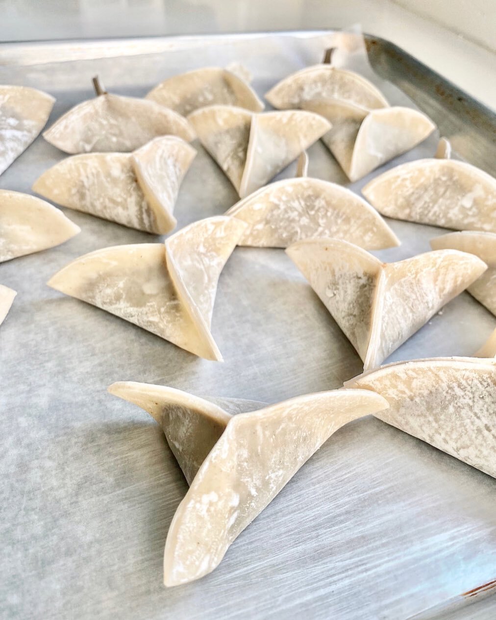 Paper-Plane dumplings again my go-to shape because it&rsquo;s super easy to make a lot of them fast, they are an easy shape to sear with the flat bottom that offers surface area to get all crispy, and it&rsquo;s easy to grab the little wings pulling 