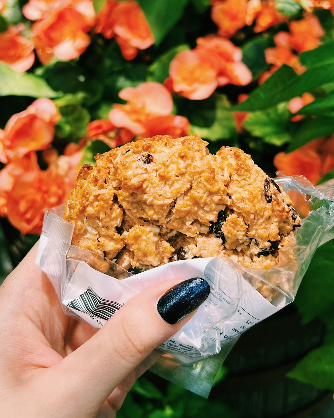 Oat Chippy!