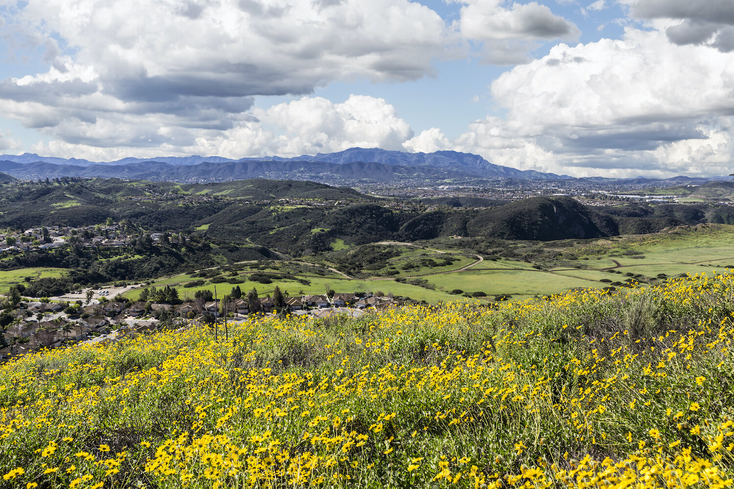 Shannae Thousands Oaks shutterstock_258515627.jpg