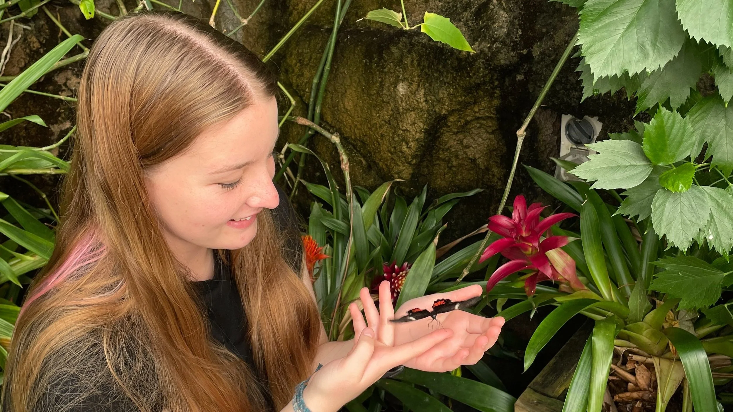 An interview with Rebecca from Kaikorai Valley College