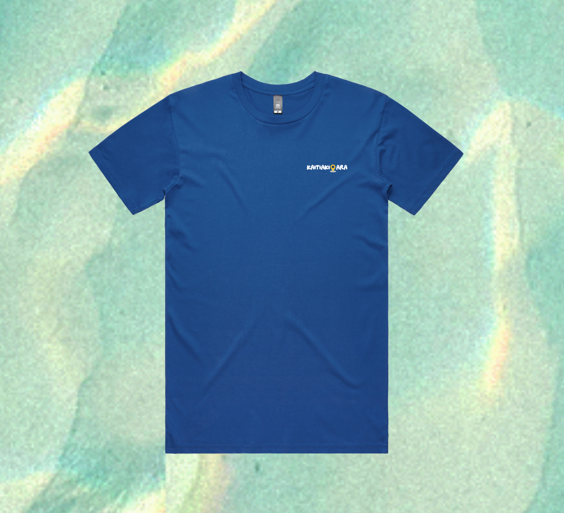 Our Journery - Blue