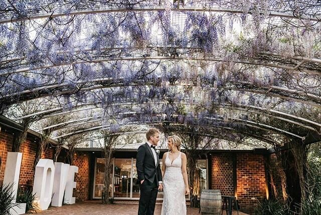Our Giant LOVE under the dreamy wisteria at @pottersreceptions 💜

Photo credit: @tiziamayphotography