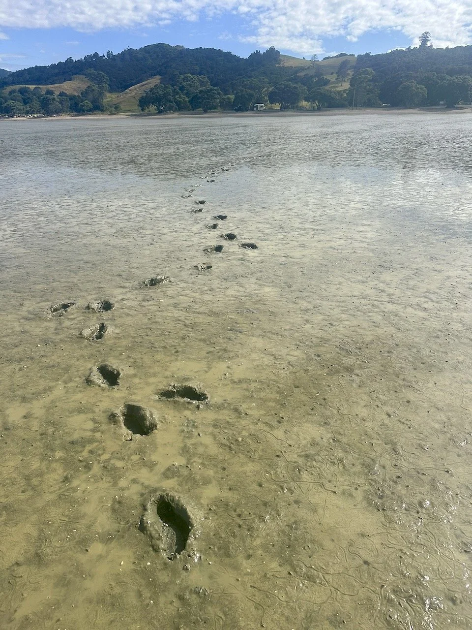BB Map of the CORO - Muddy Feet