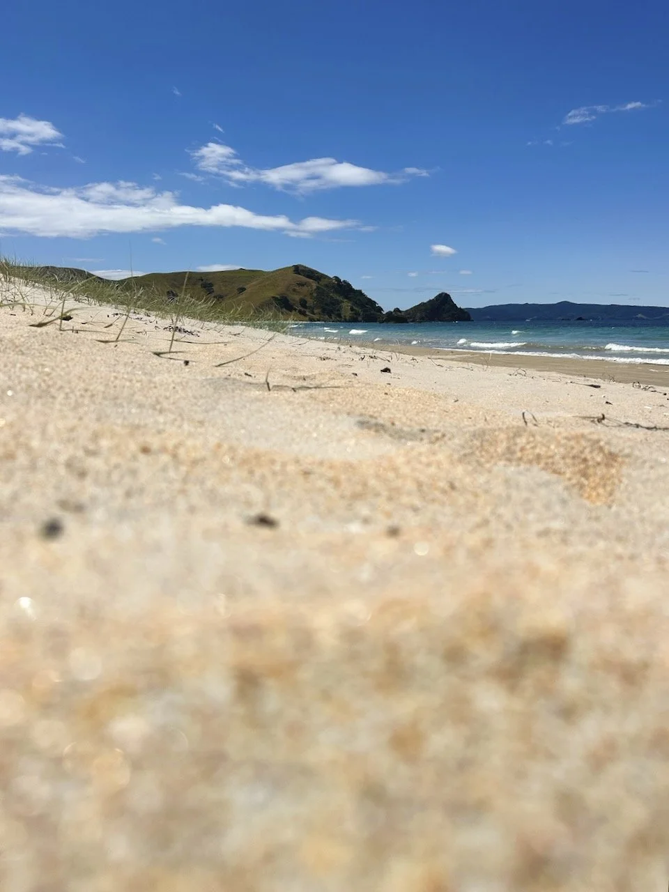 BB Map of the Coro - Opito Bay