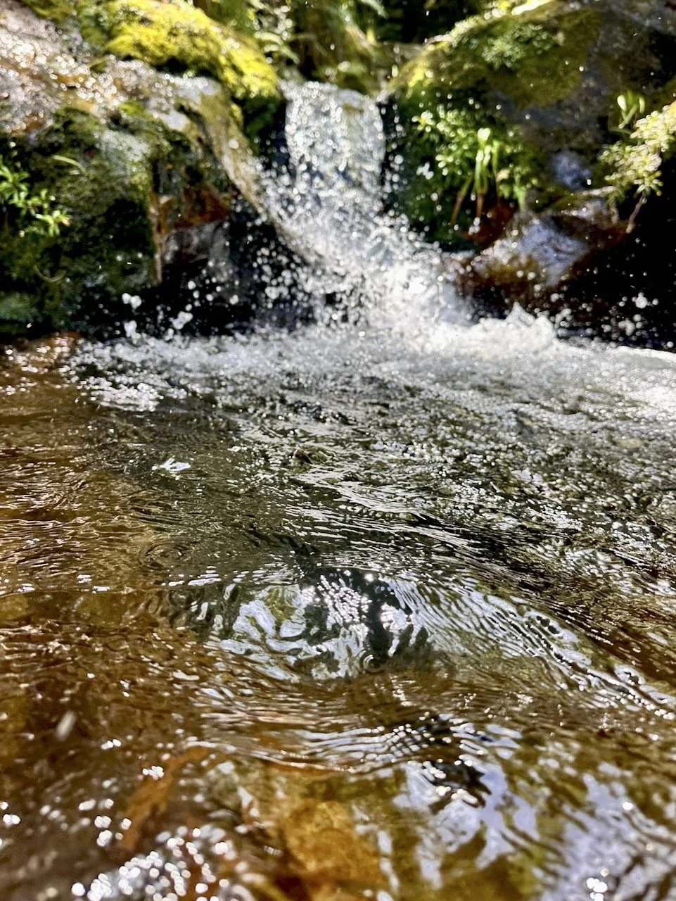 BB Map of the Coro - Swimming Holes