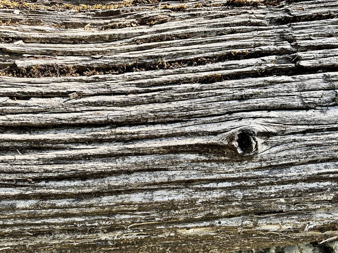 BB Map of the Coro - Coromandel Logging Days