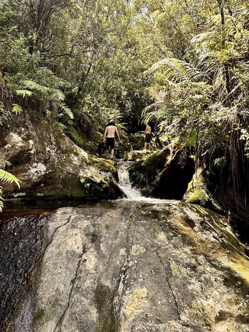 BB Map of the Coro - Coromandel Walks