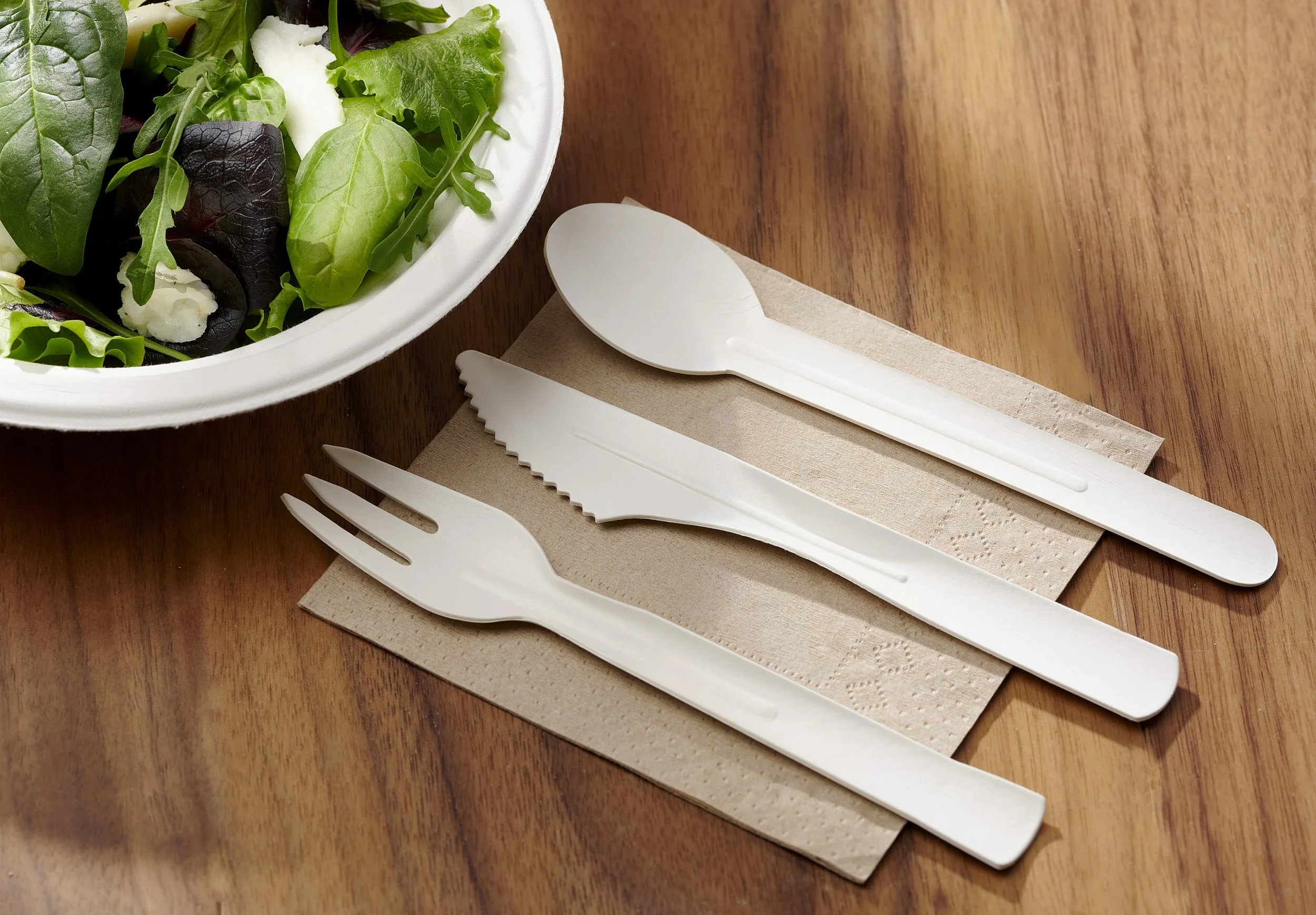 Disposable Cutlery