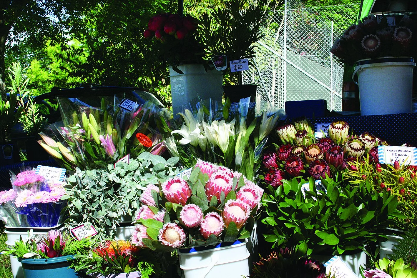 Ohoka Market turns 10!