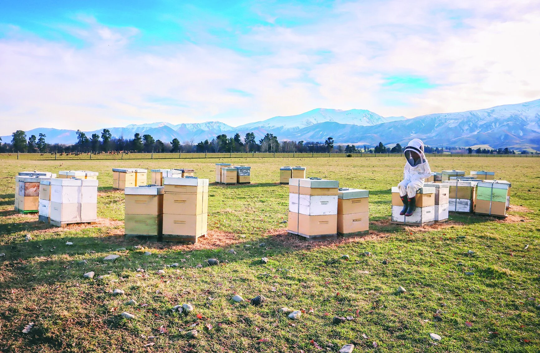 Copy of IMG_4582-01.jpeg