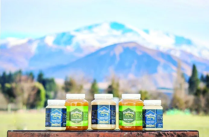 Honey with Mt Dobson.jpeg